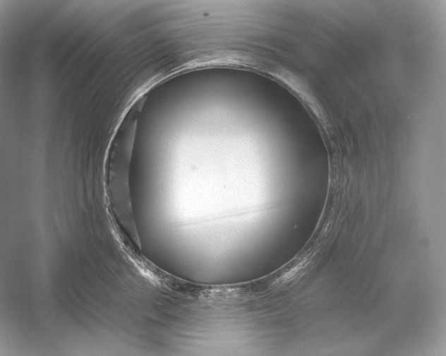 X0000052950858200508050920