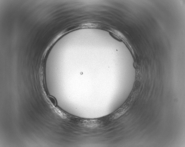 X0000052950859200508050920