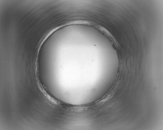 X0000052950860200508050920