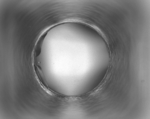 X0000052950862200508050920