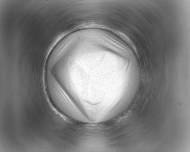 X0000052950863200508050920