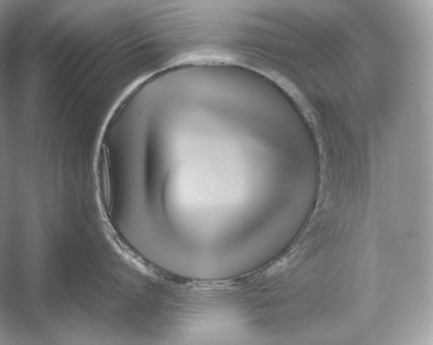 X0000052950864200508050920