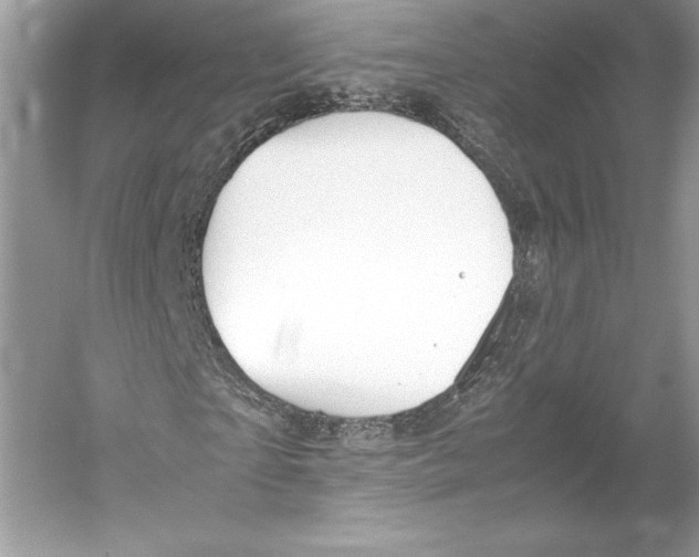 X0000052950865200508050919