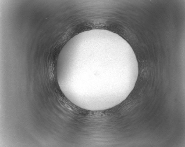 X0000052950866200508050919