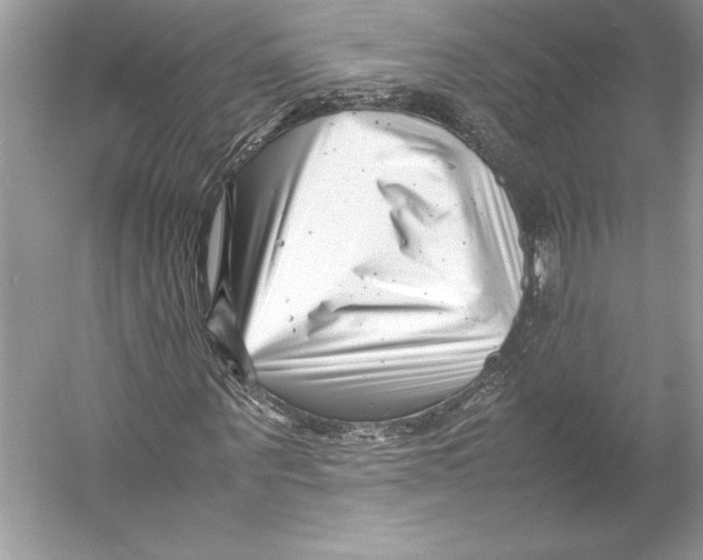 X0000052950867200508050919