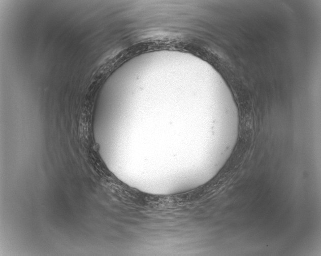 X0000052950869200508050919