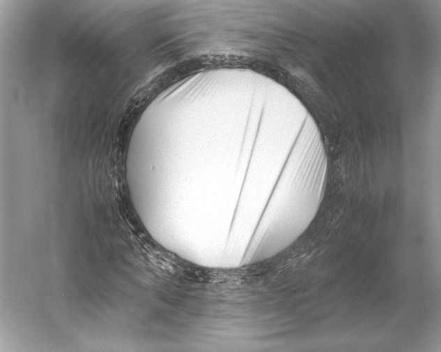 X0000052950870200508050919