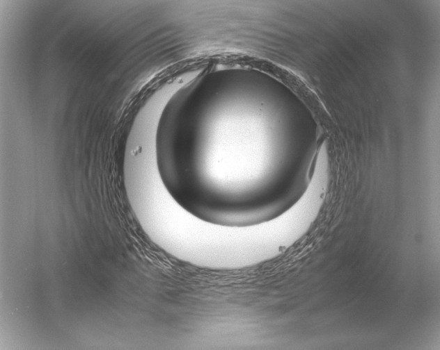 X0000052950871200508050919