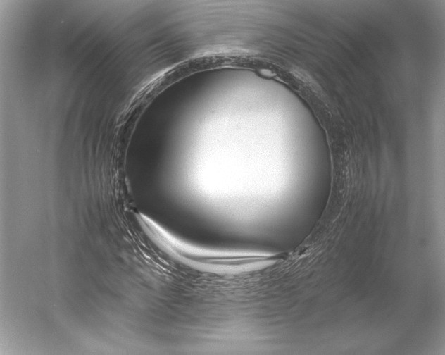 X0000052950872200508050919