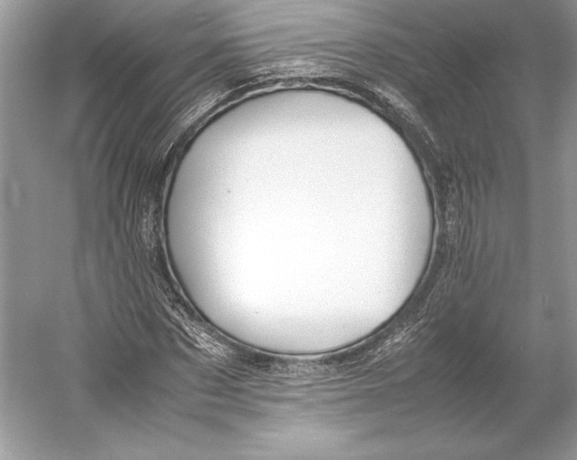 X0000052950873200508050919