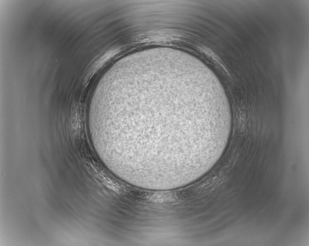 X0000052950874200508050919