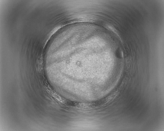 X0000052950875200508050919