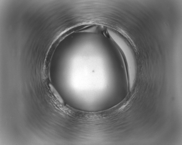 X0000052950876200508050919