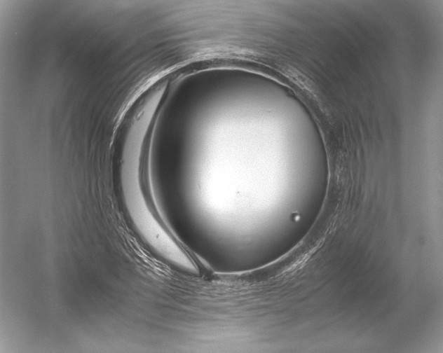 X0000052950877200508050919