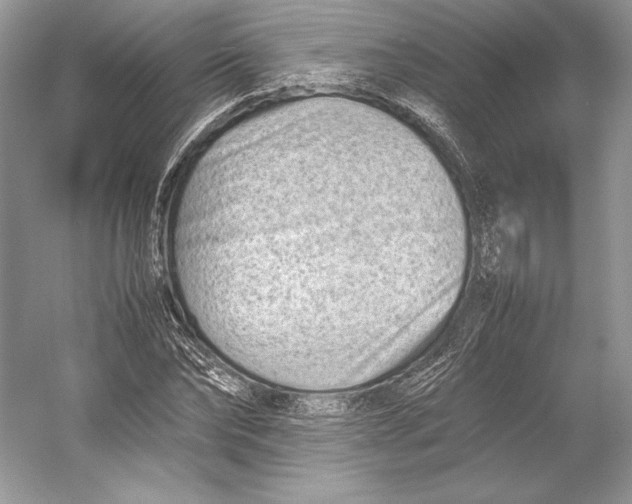 X0000052950878200508050919