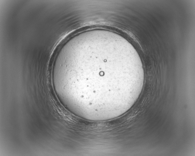 X0000052950879200508050919