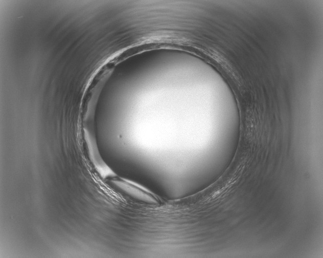 X0000052950880200508050919