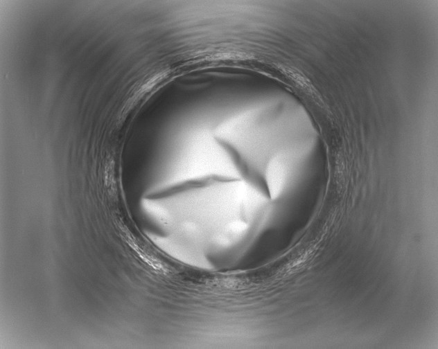 X0000052950881200508050919