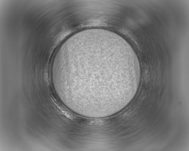 X0000052950882200508050919