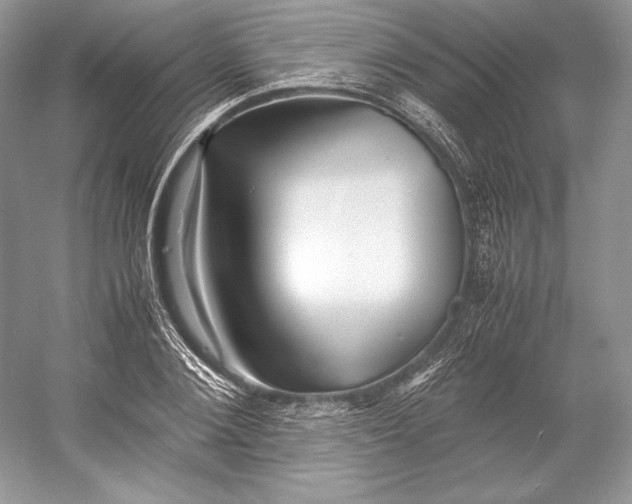 X0000052950884200508050919