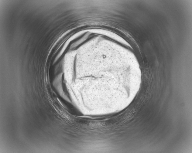 X0000052950887200508050919