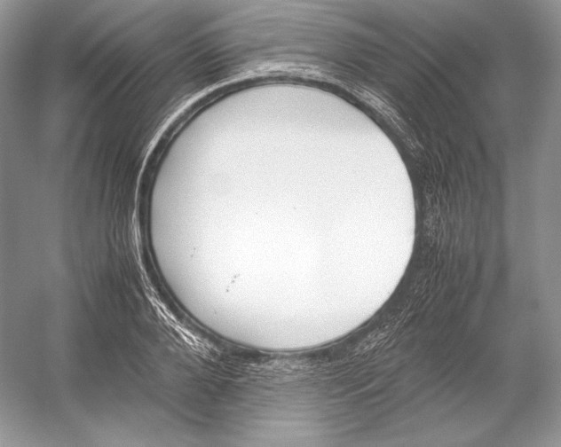 X0000052950888200508050919