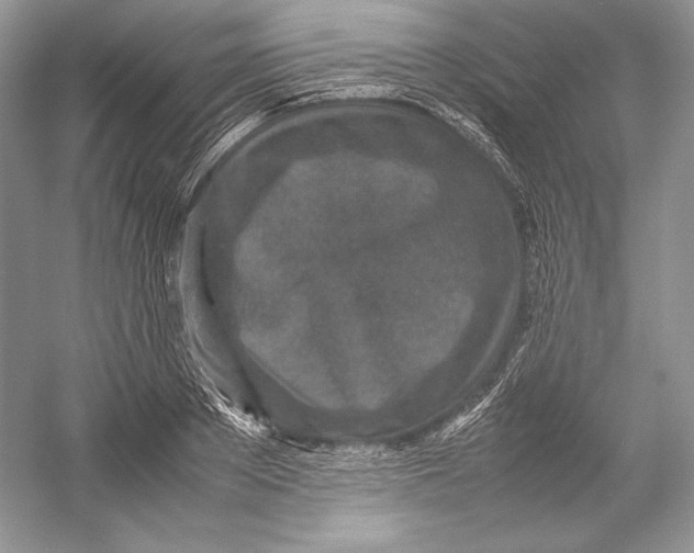 X0000052950889200508050919