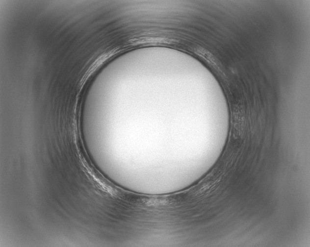 X0000052950890200508050919