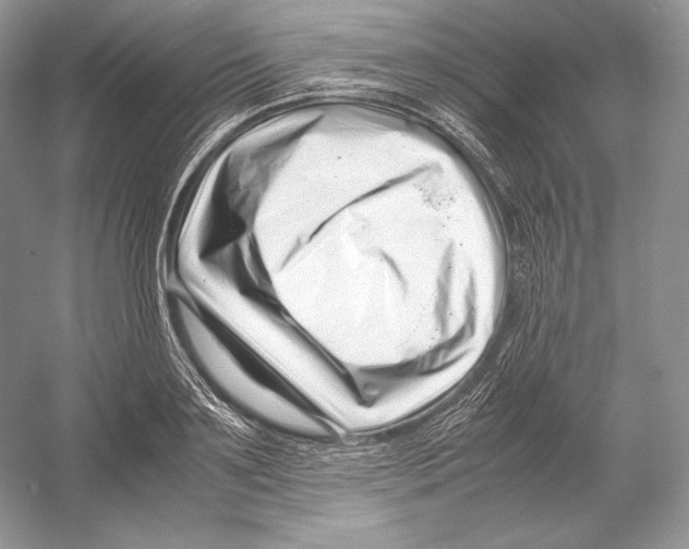 X0000052950891200508050919