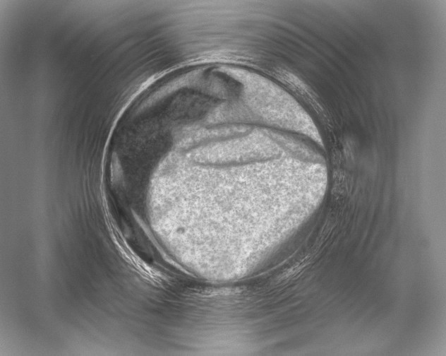 X0000052950892200508050919