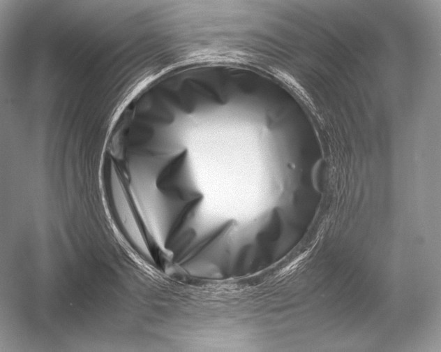 X0000052950893200508050919