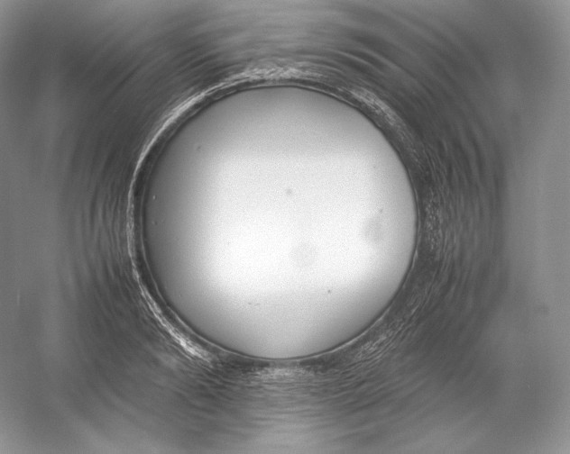 X0000052950894200508050919