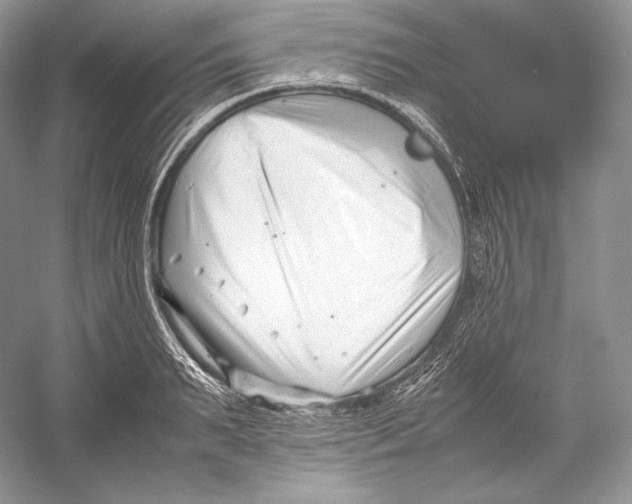 X0000052950895200508050919