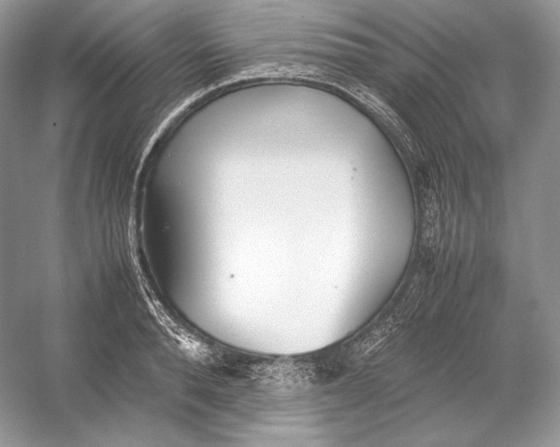 X0000052950896200508050919