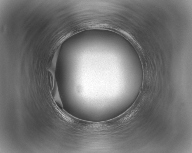 X0000052950897200508050919