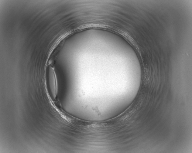 X0000052950898200508050919