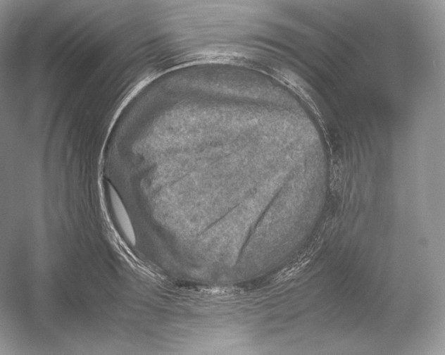 X0000052950899200508050919