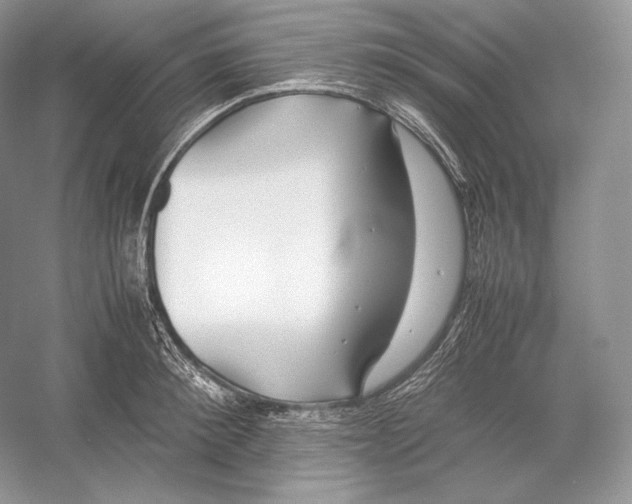 X0000052950900200508050919