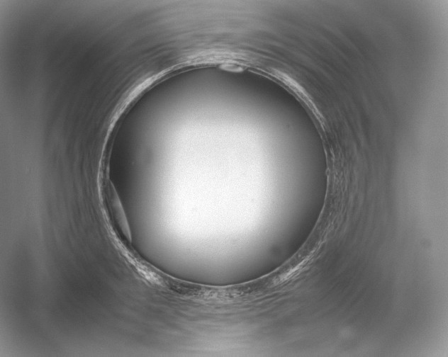 X0000052950901200508050919