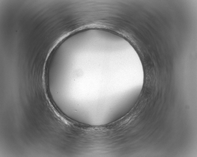 X0000052950902200508050919