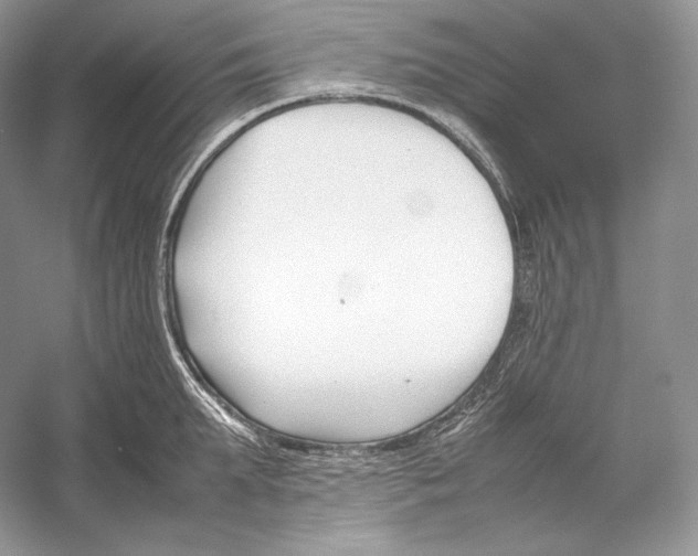 X0000052950903200508050919