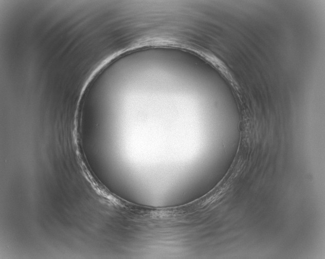 X0000052950904200508050919