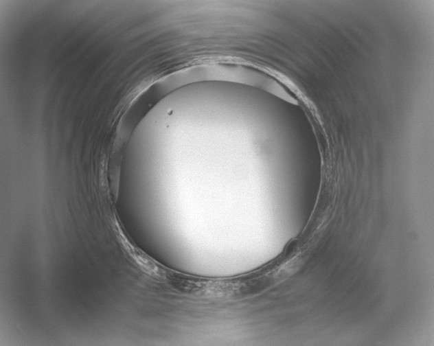 X0000052950905200508050919