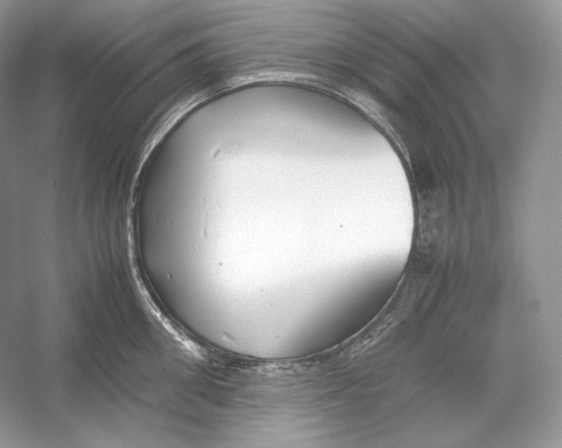 X0000052950906200508050919