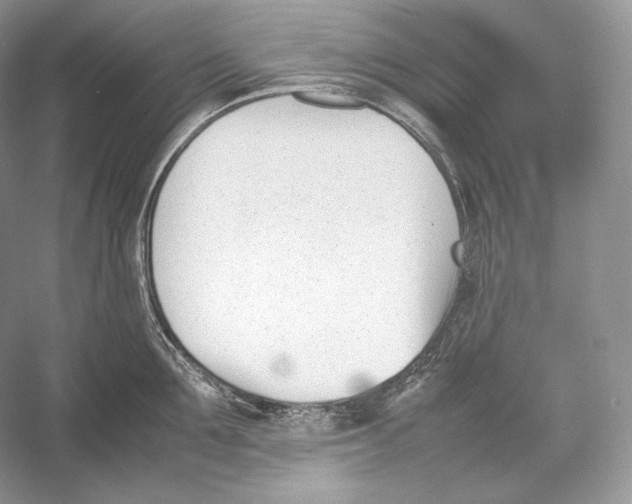 X0000052950907200508050919