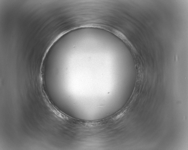 X0000052950908200508050919