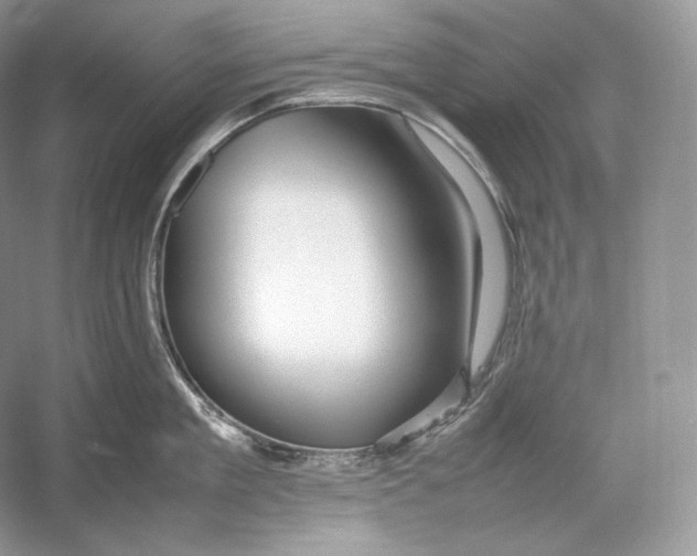 X0000052950909200508050919