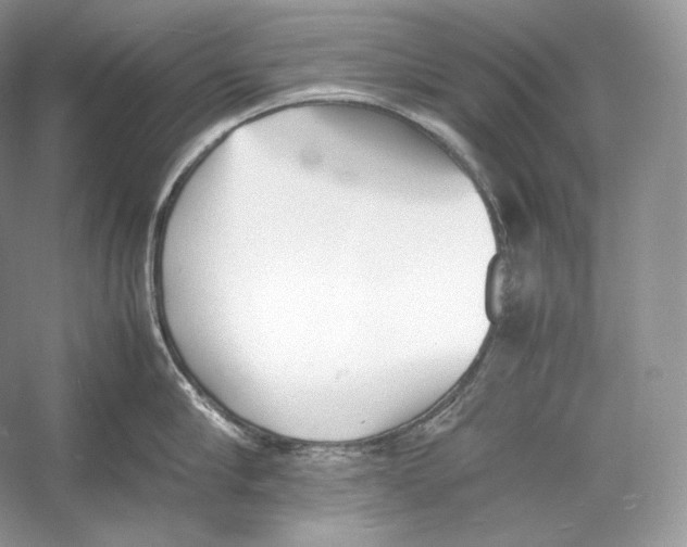 X0000052950910200508050919