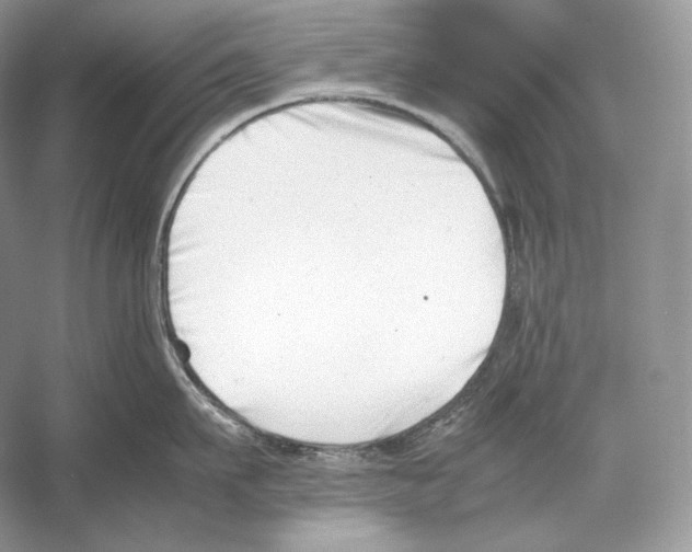 X0000052950911200508050919