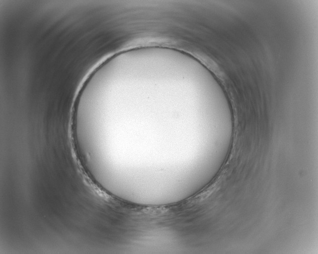 X0000052950912200508050919